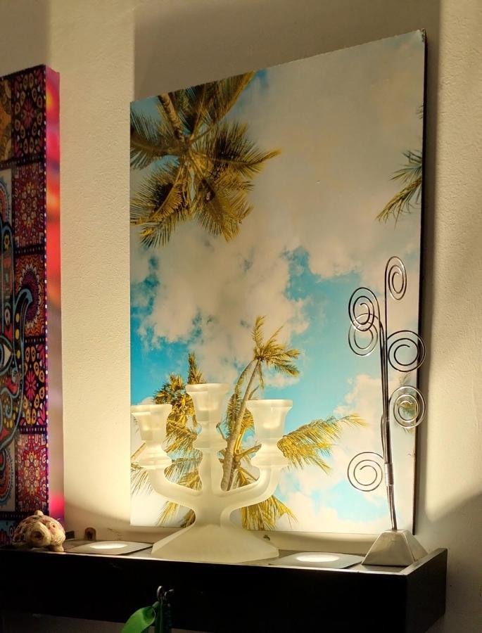 Studiou *